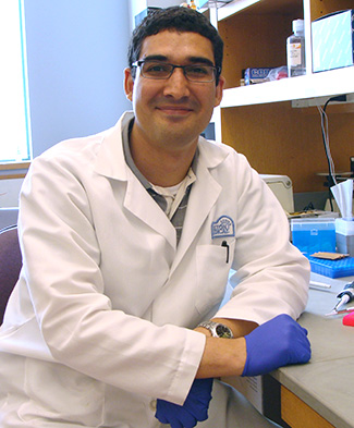 Dr. Luis Agosto